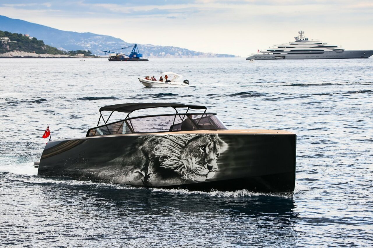 Lioncub (العطاء إلى قلب الأسد - VanDutch 55) - 16،48m - VanDutch