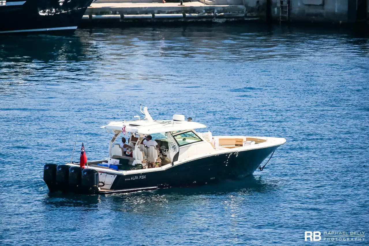 Alfa Fish - Scout 420 LXF (Tender to Alfa Nero) - 12,8 م - سكاوت