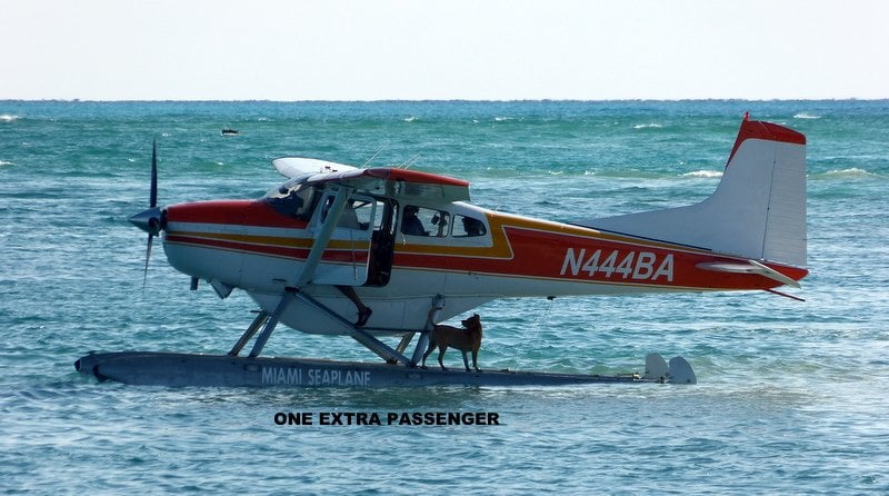 Avión N444BA Carl Allen 