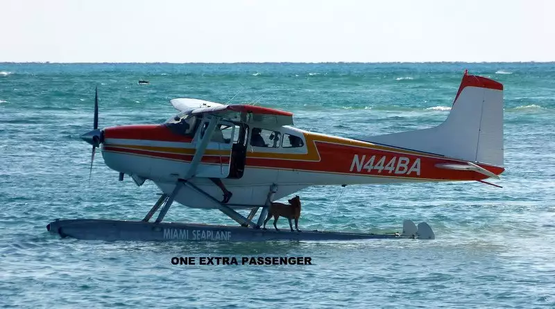 N444BA Carl Allen-Flugzeug 