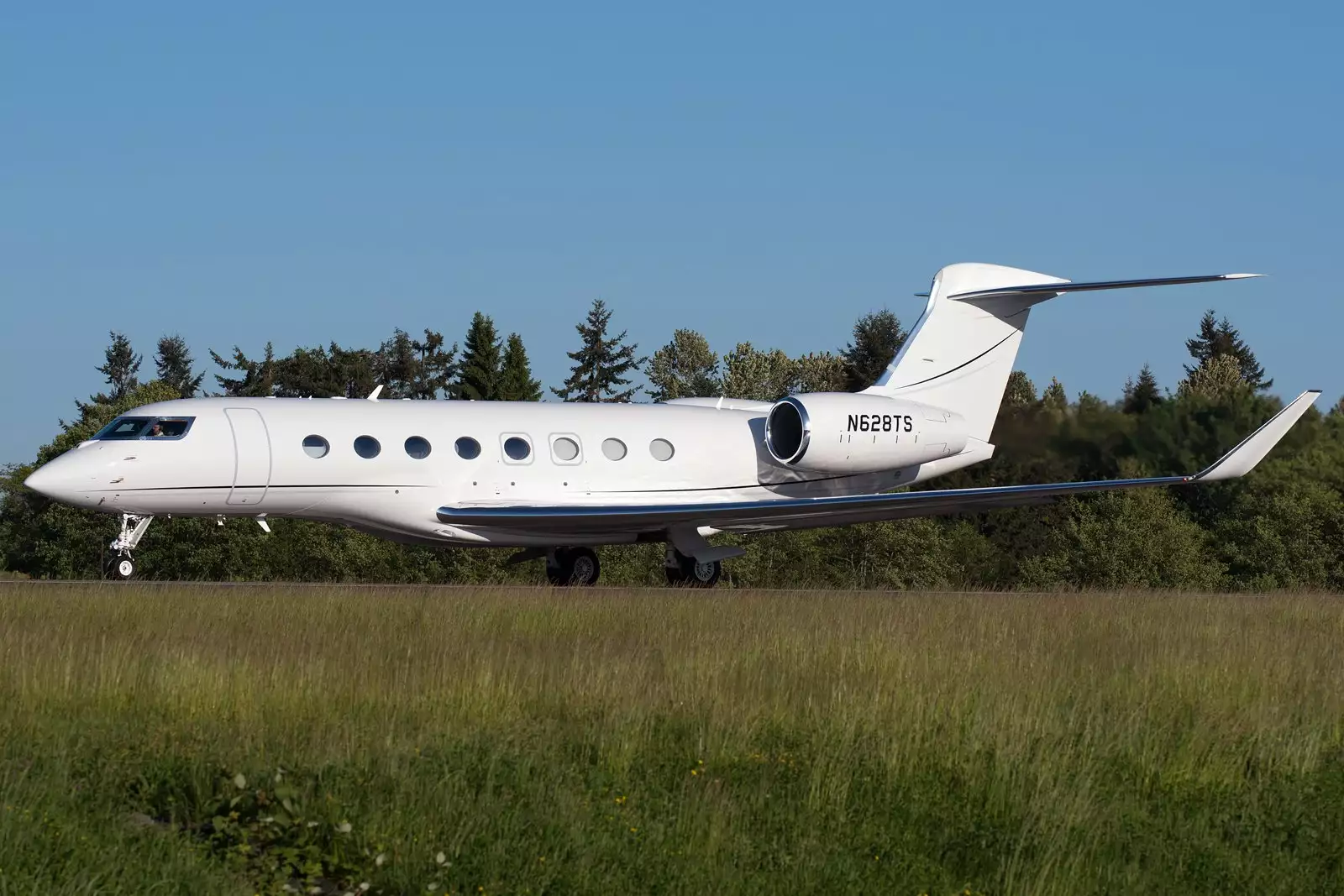 N628TS G650ER إيلون ماسك